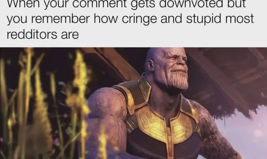 Getting downvoted for being right is reddit canon event