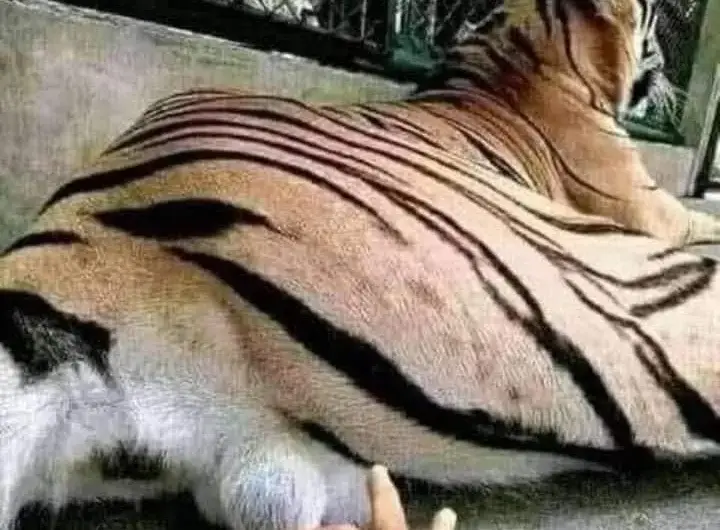 “I Got A Good Feeling About This”