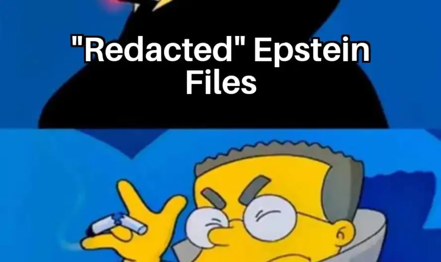 Microsoft Word 2024 for beginners