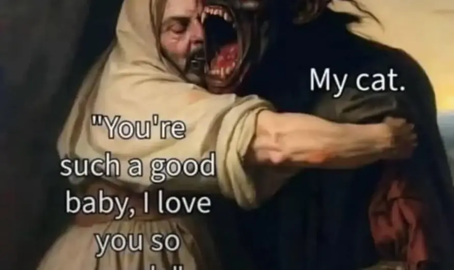 I love my cat