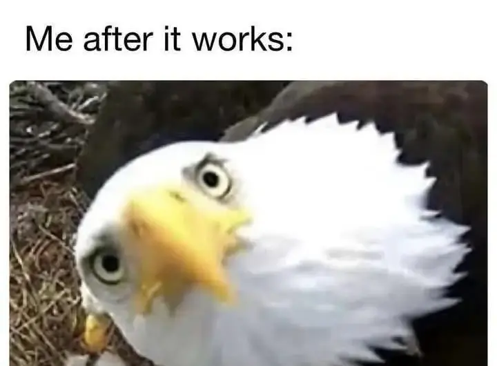 Exactly the same look