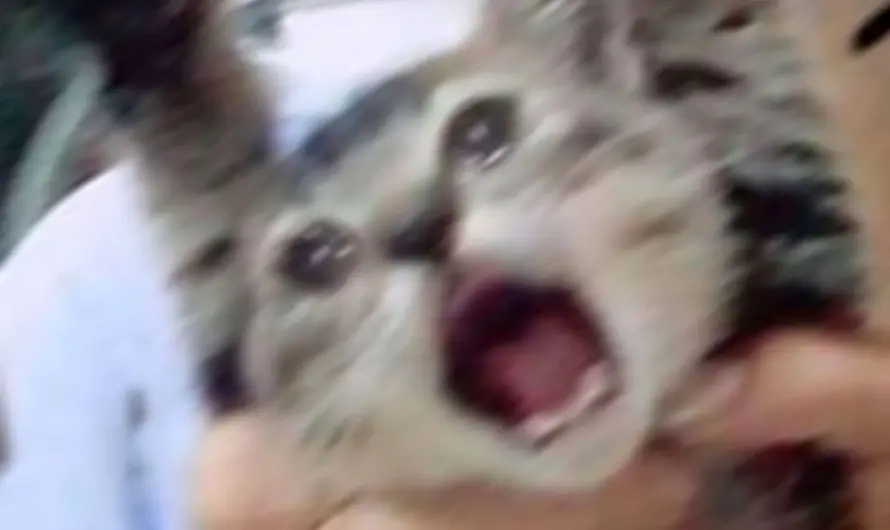 Im sorry, miss you buddy