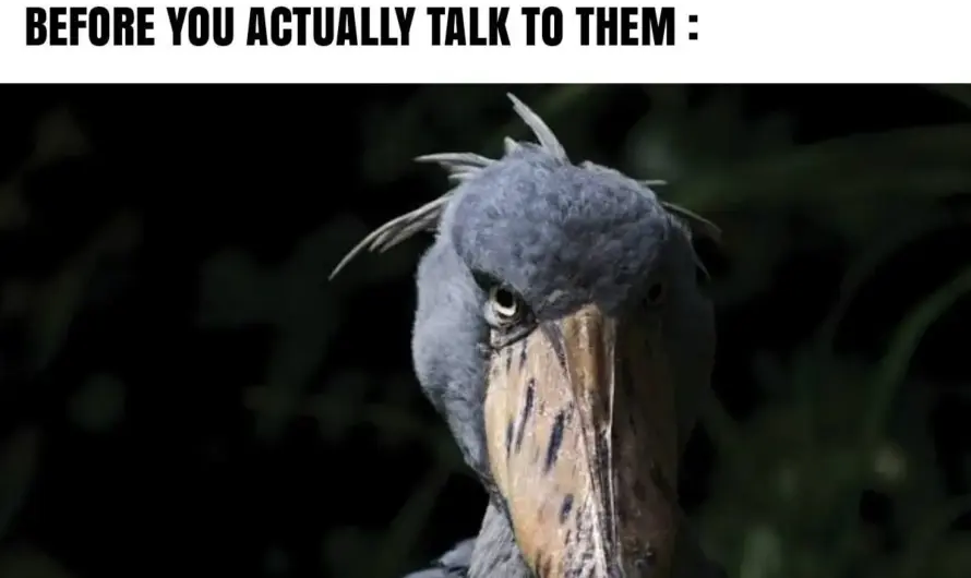 They for some reason look like they will take your kidney out and feed you it