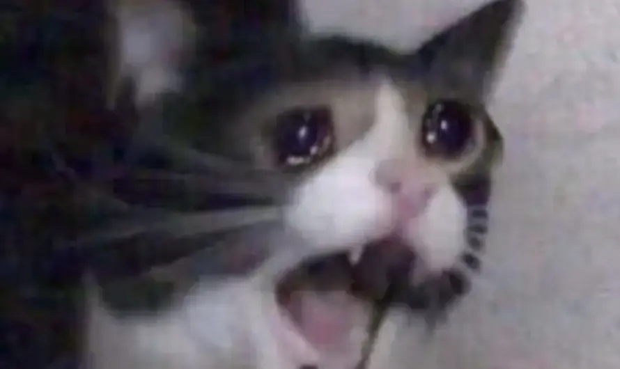 Yes this happened to me today