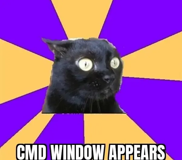 The great meme reset is here boys