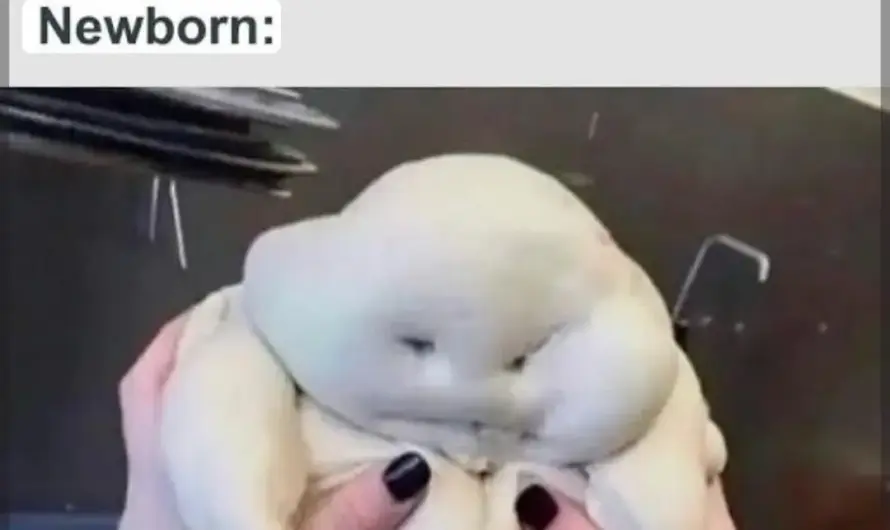 He just looks like me