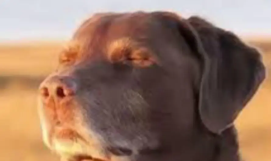 Traditional self deprecating humor for the first official work week of the year