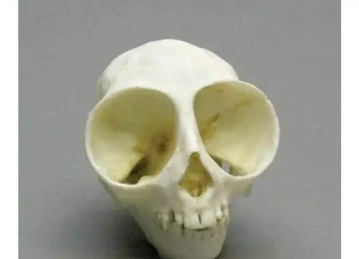 It looks like the truth.