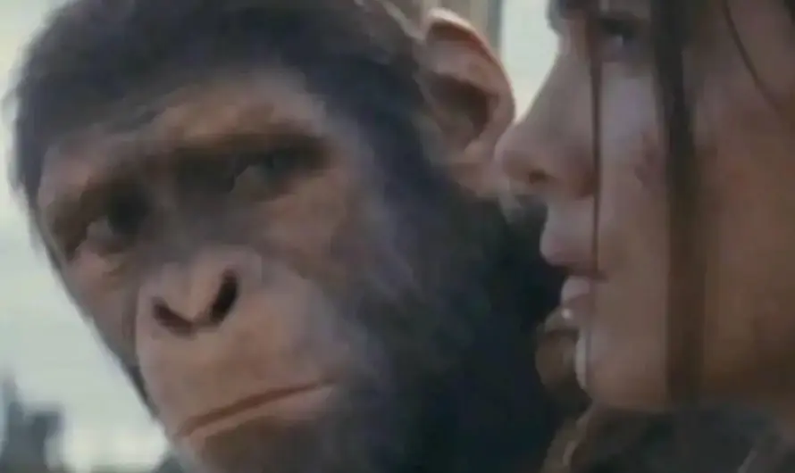 Canon event loading…