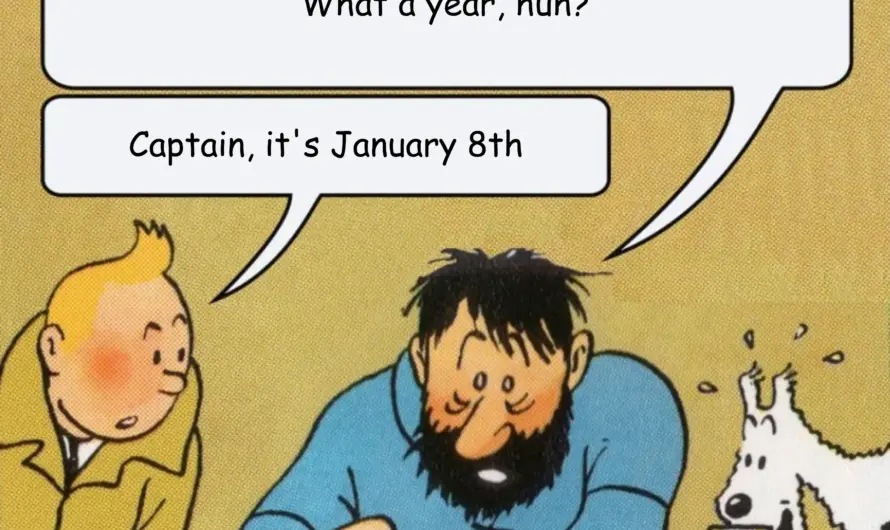 At least the dog is having fun