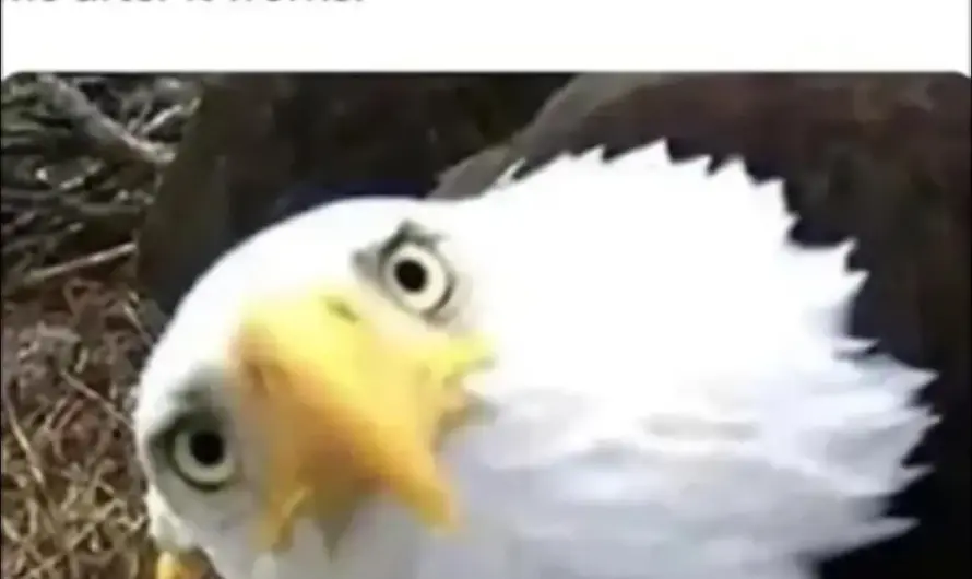 Exact same look 🤣🤣