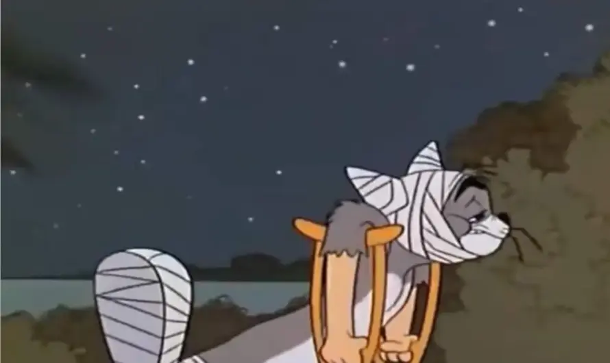 “Sorry aunt May I got into a fight at school.”