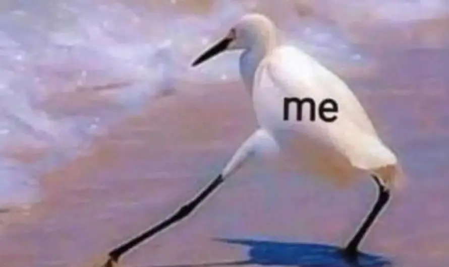 Me vs don’t do that