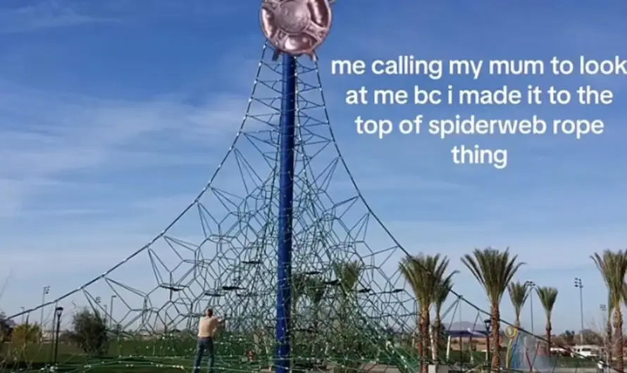 “GET DOWN FROM THERE!!”