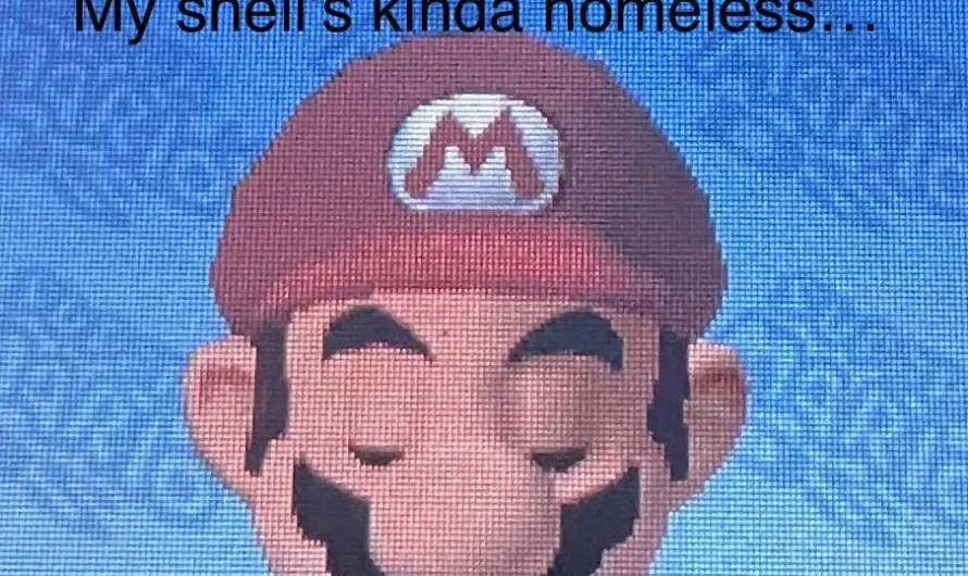 Please Mario I need This ❤️‍🩹 (costume meme)