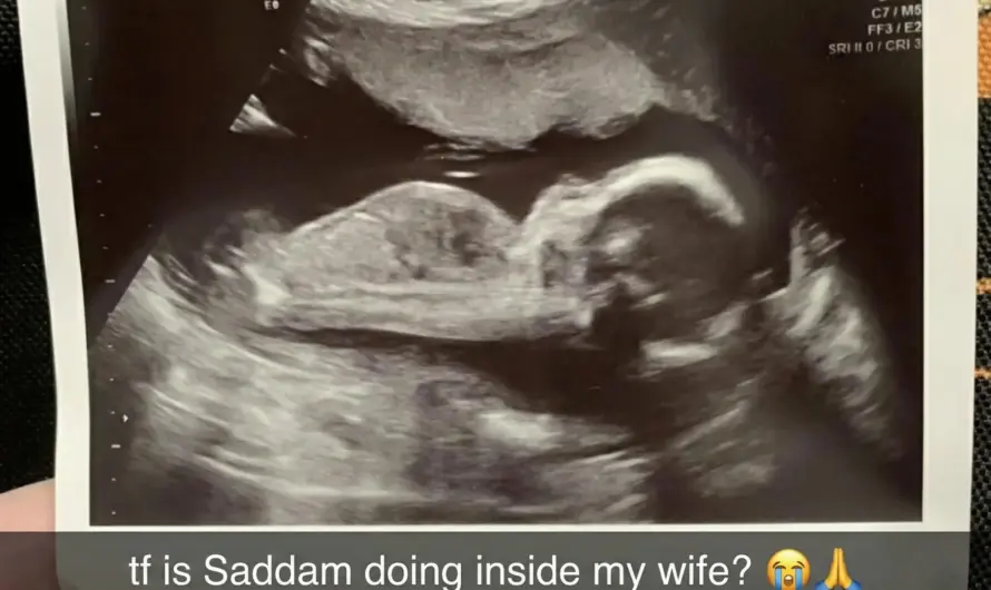 Entrance hidden by what?