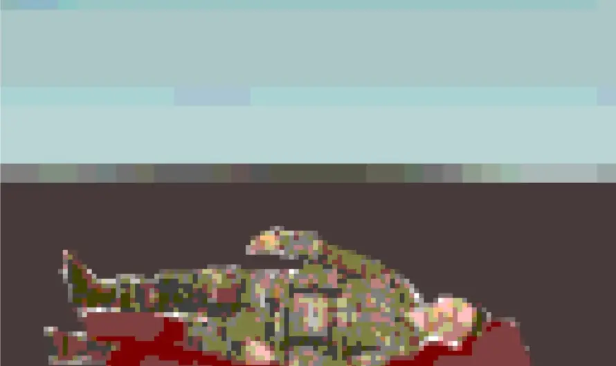 Realistic my ass (NSFW for blood)