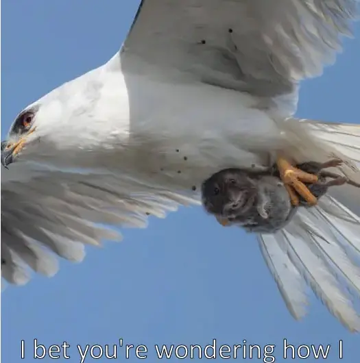 Well, it all started a week ago…