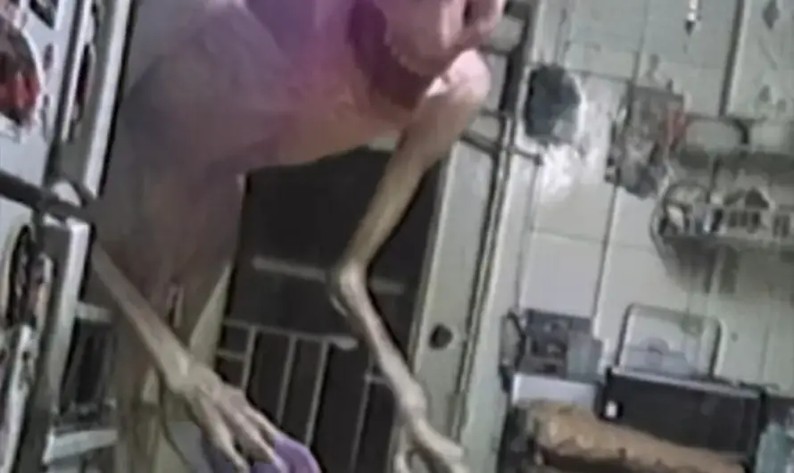 I’m just a little pale