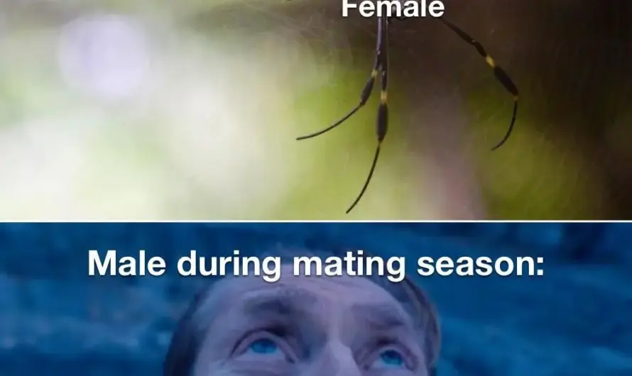 “He said he didn’t want onions on his burger.”