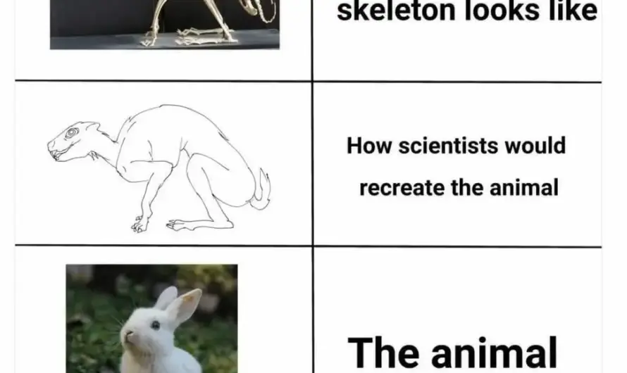 We found a new species 😂