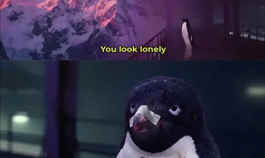 You look lonely