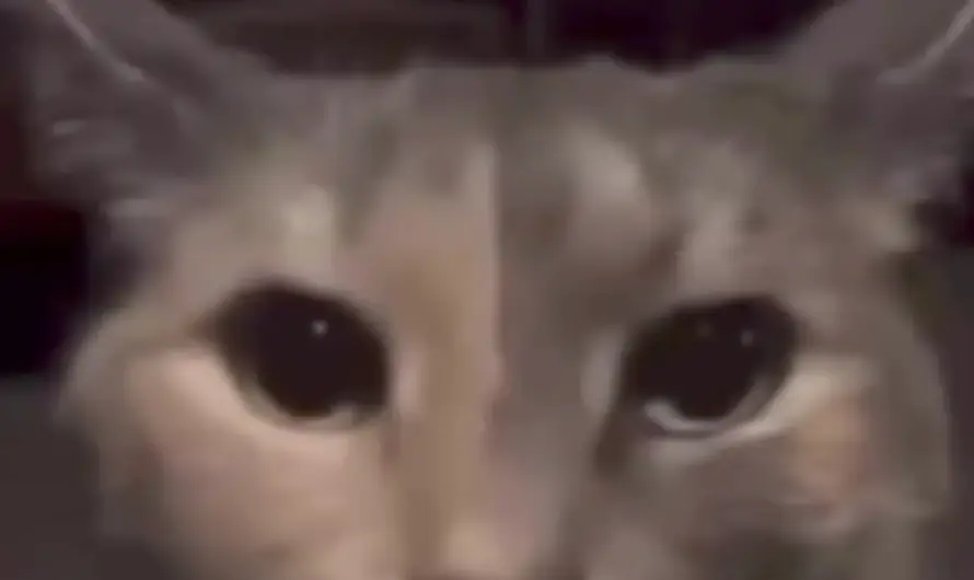 Bro really said that 😭