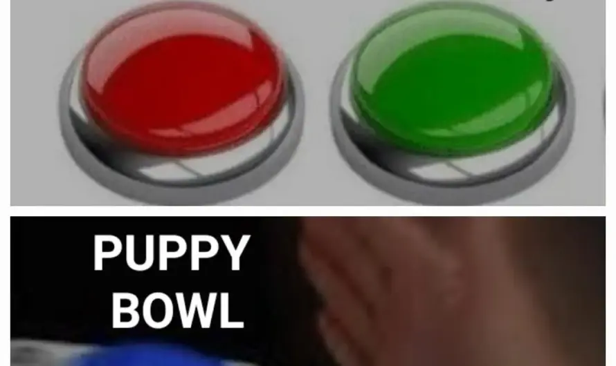 Super-duper Bowl Sunday