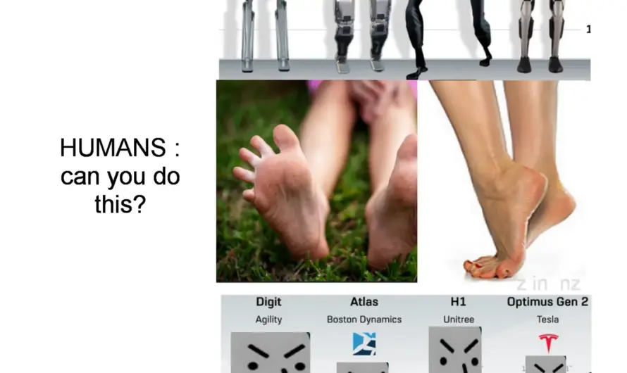 wiggle your little toe.