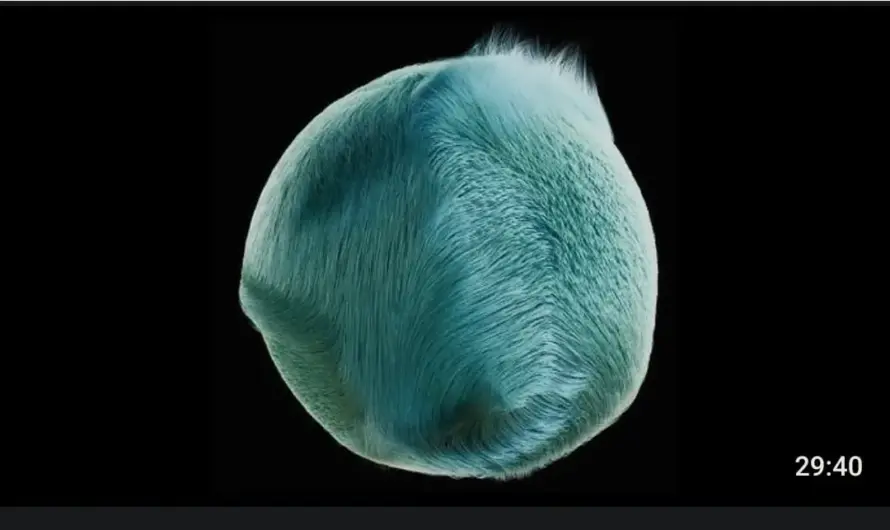 The worst that can happen: