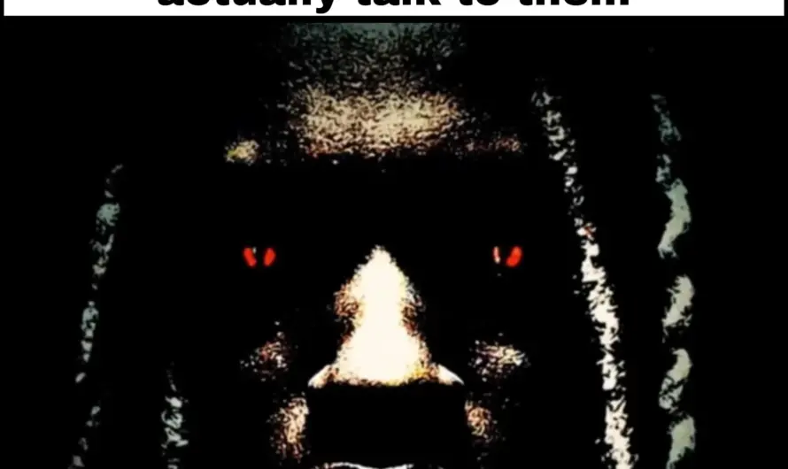 These people scare the hell out of me fr