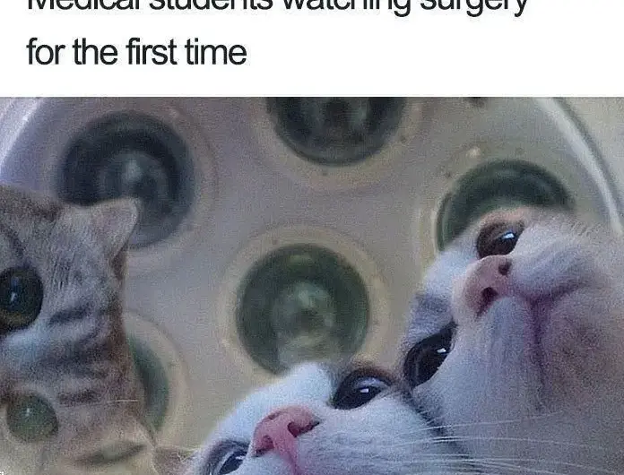 Medical students are built different 👌🏻👏🏻