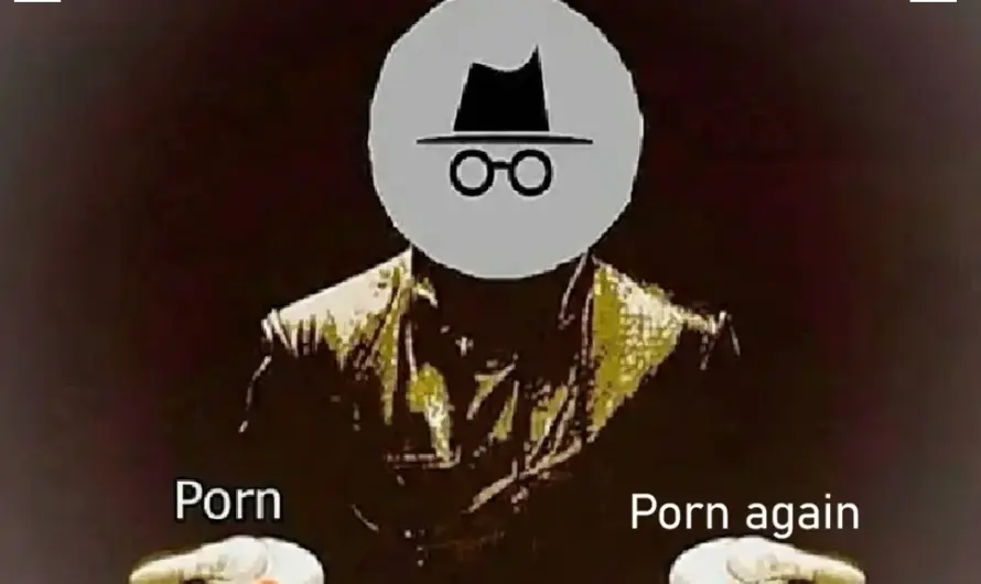 no stupid questions, just porn