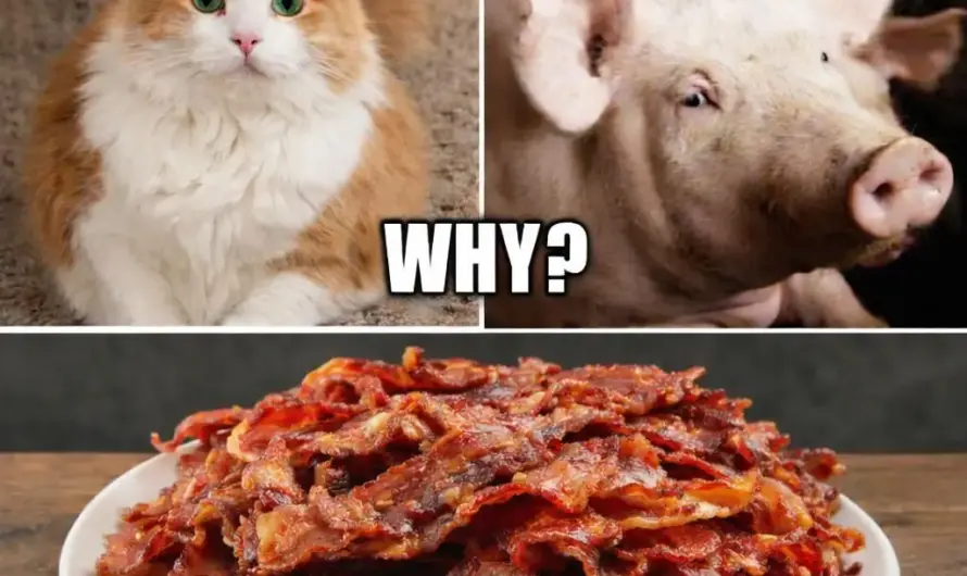 It’s a no-brainer if you think about it.