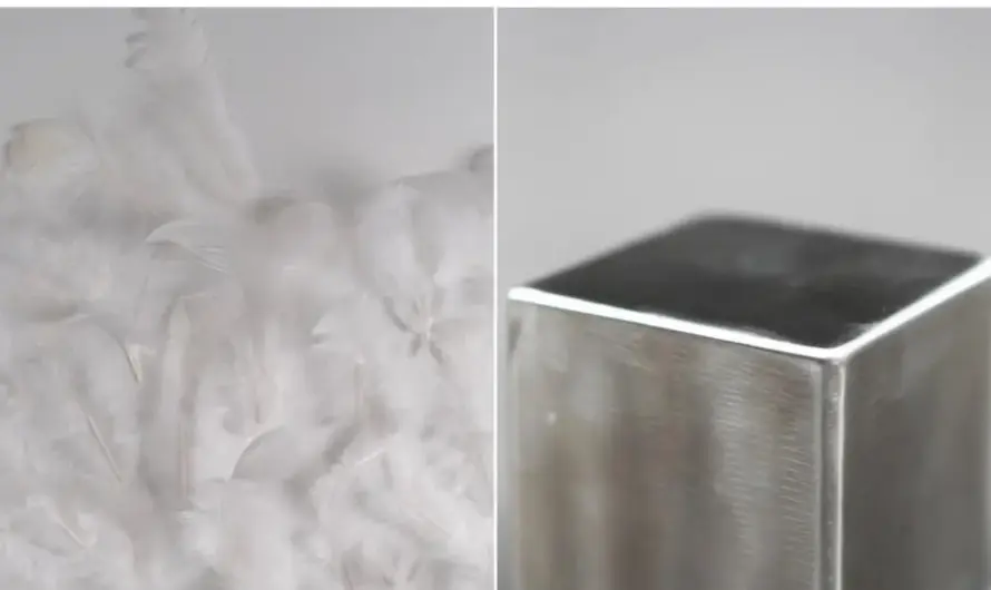 Cursed this American brain!