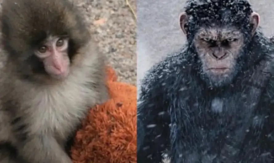 Character Arc Unlocked