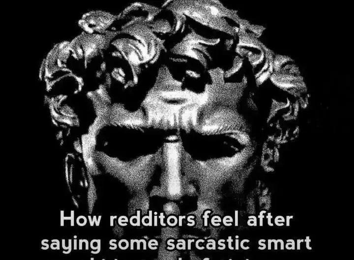 Reddit sarcasm is brutal