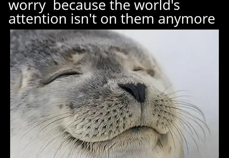 Plan successful boys