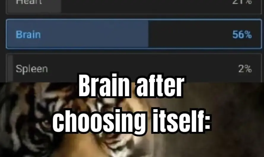 Lol,The most narcissistic organ