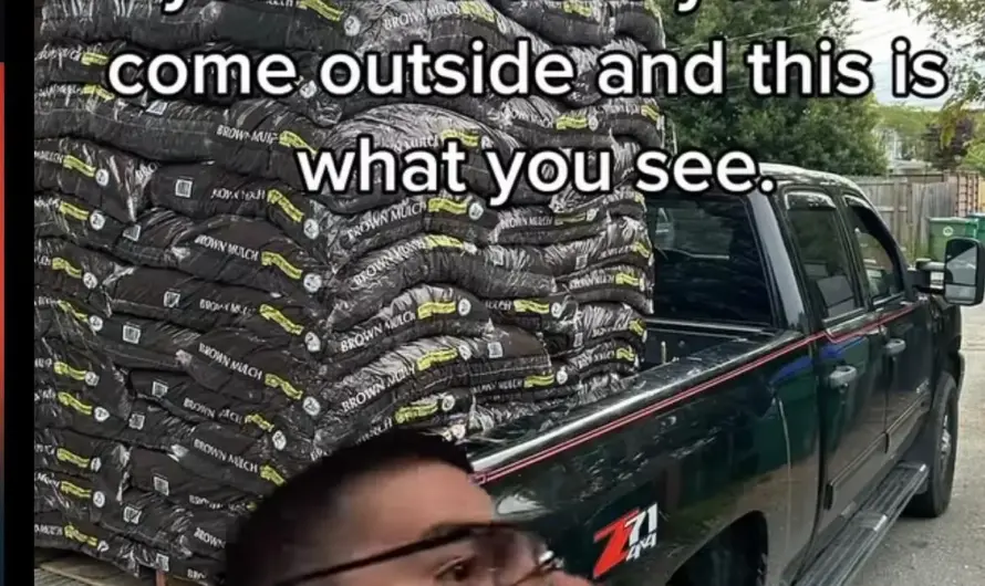 “Hey come help me with something real quick”