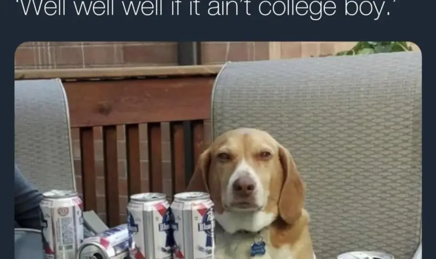 Think you’re better than me?!