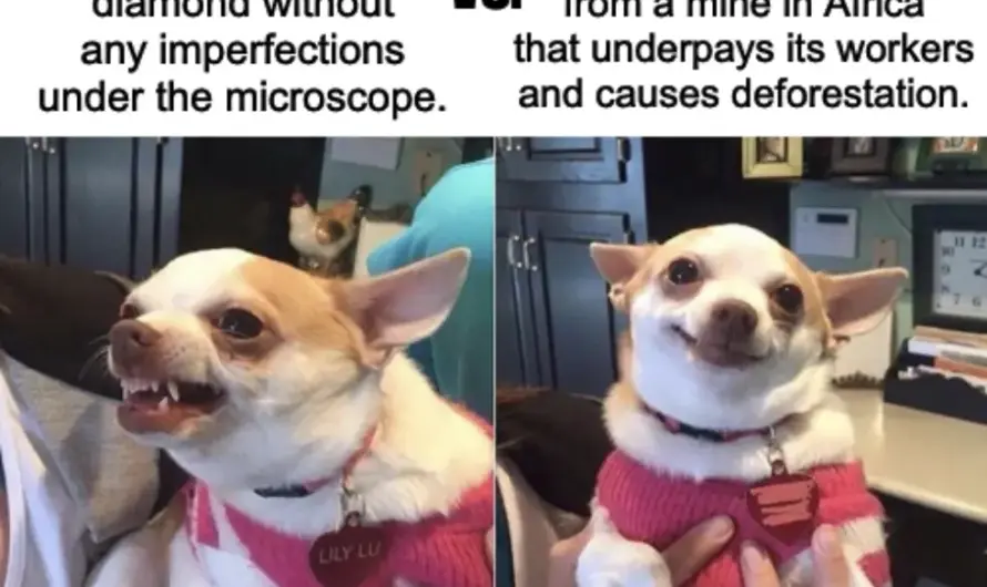 Hope you are not dating one of these