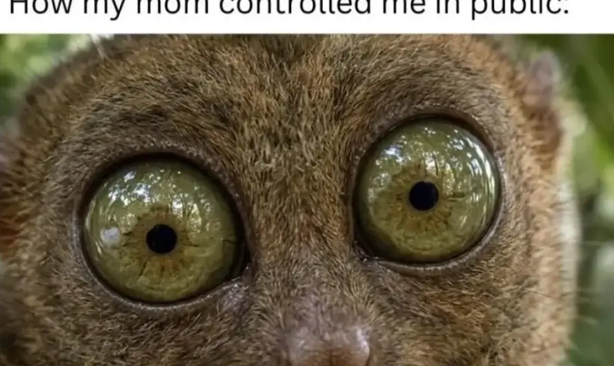 Look that reaches ur soul