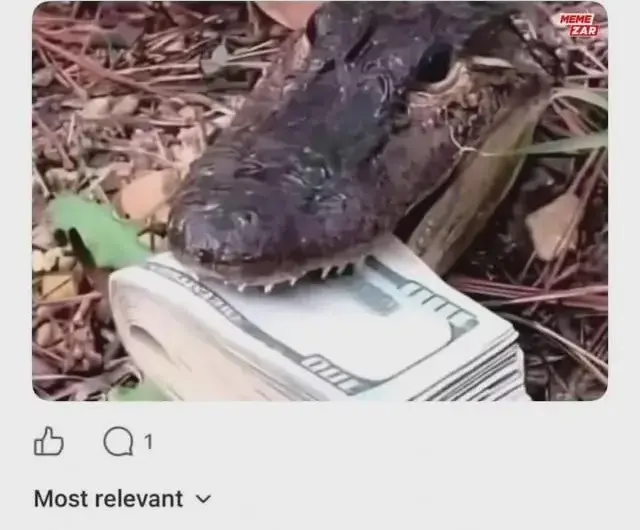 Croco🐊 Bro is in Danger 💀