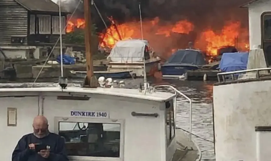 Just one more meme…