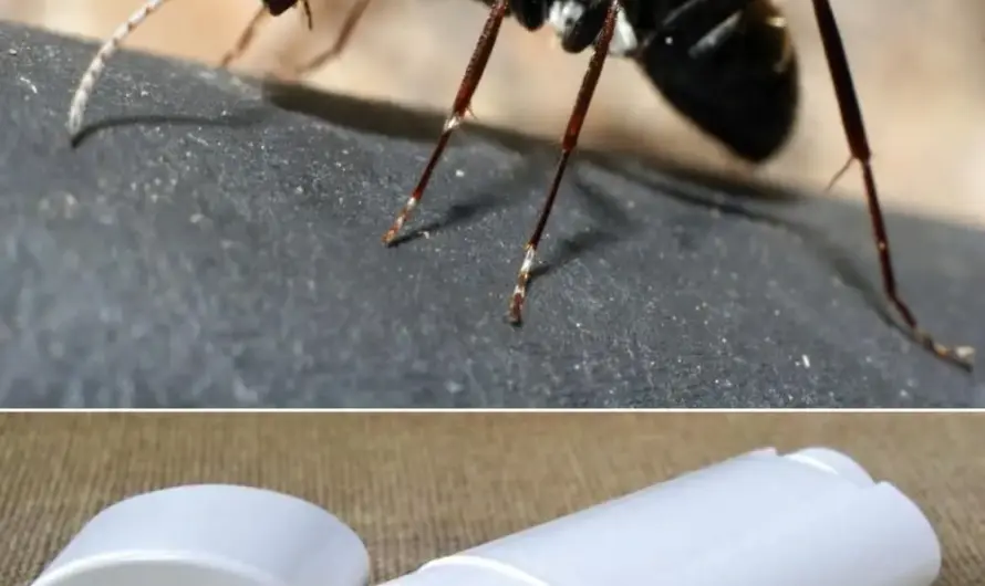 Just a stupid joke I thought up at like 2 am