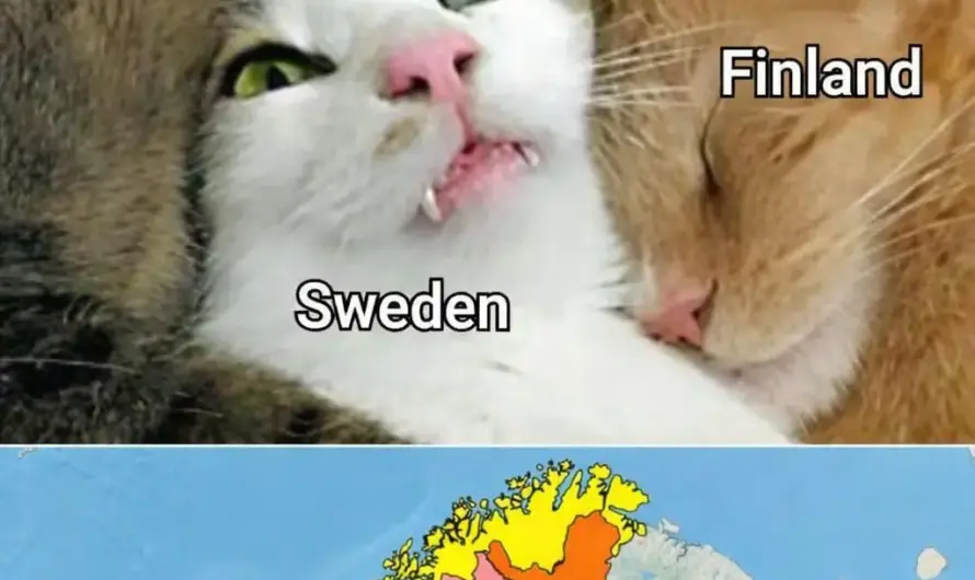 Sweden really said: personal space is optional .