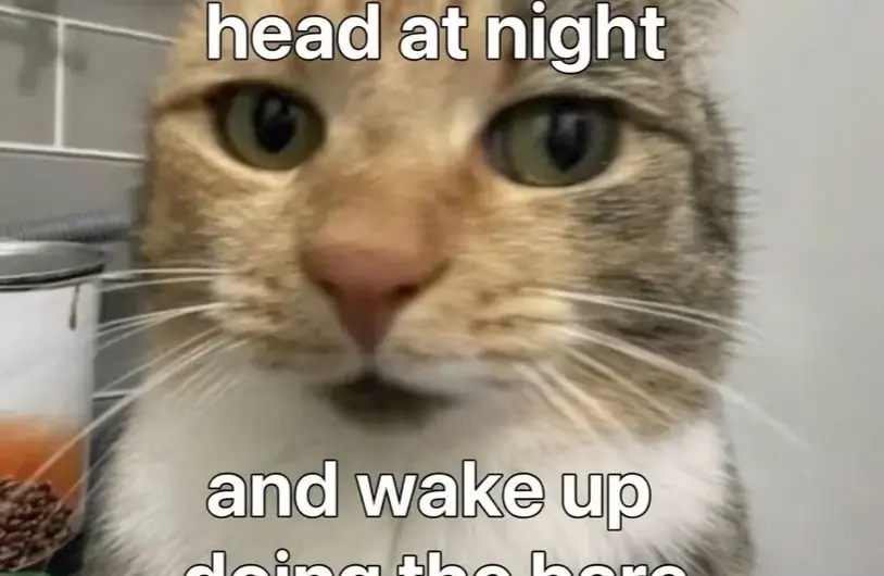 My potential is stayin’ in bed.