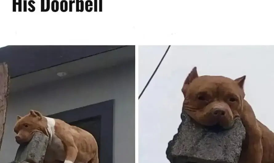 🛡️🛡️🛡️ㅤㅤㅤㅤㅤㅤㅤㅤㅤㅤ