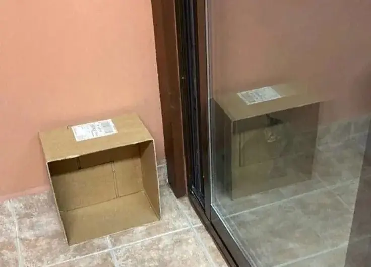 Schrödinger’s mirror (cat)
